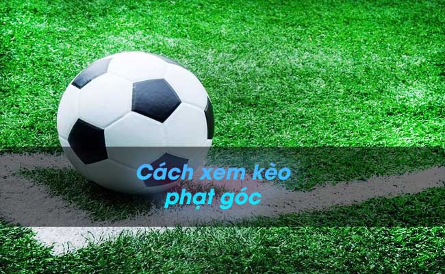 keo-phat-goc-la-gi-cach-xem-keo-phat-goc-chi-tiet-cho-nguoi-choi-moi
